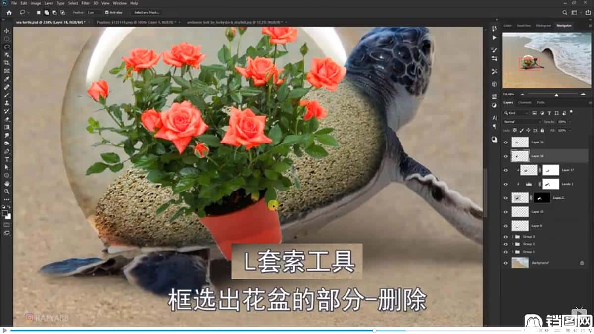 Photoshop合成海边海龟和被掀起的海浪场景