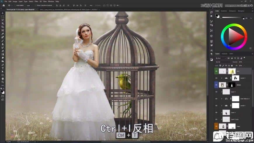 Photoshop创意合成森林中的新娘和鸟笼