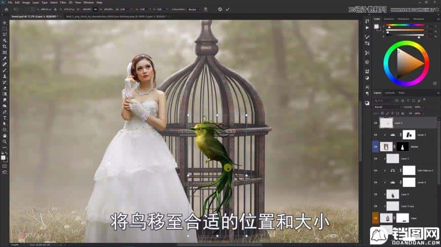 Photoshop创意合成森林中的新娘和鸟笼