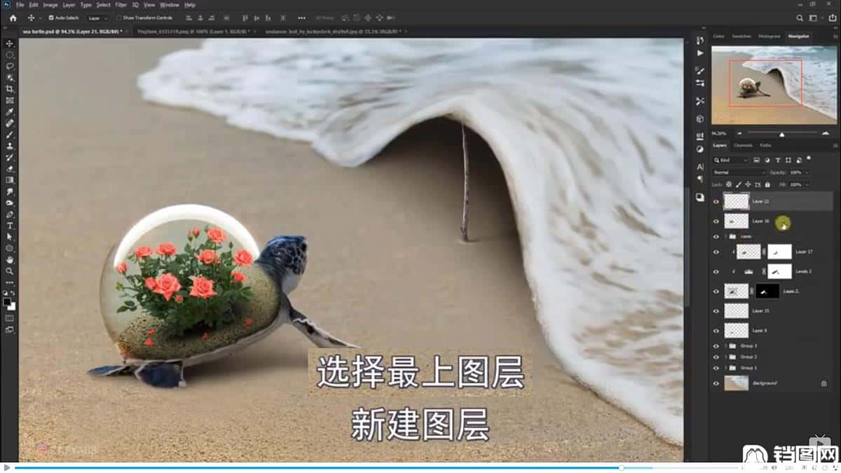 Photoshop合成海边海龟和被掀起的海浪场景