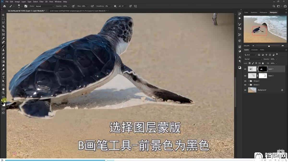 Photoshop合成海边海龟和被掀起的海浪场景