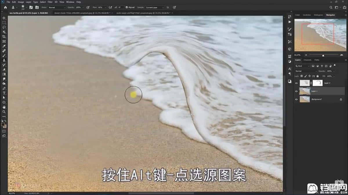 Photoshop合成海边海龟和被掀起的海浪场景