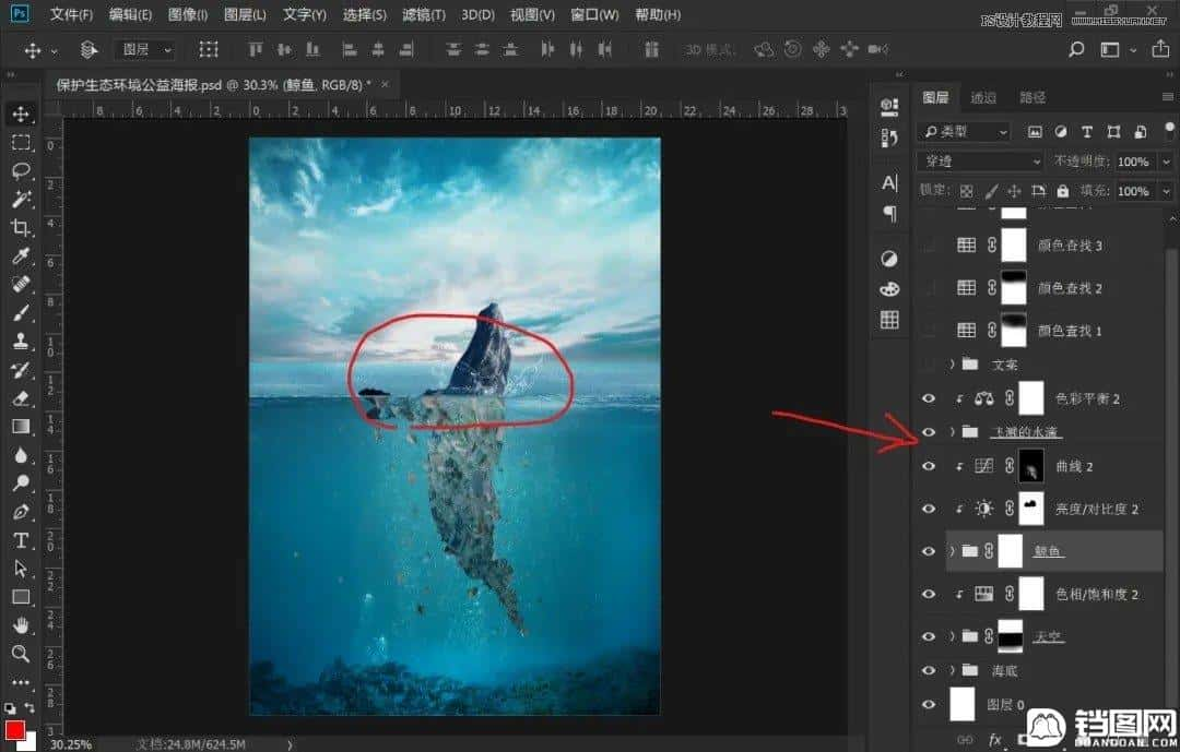 Photoshop设计保护动物公益海报教程