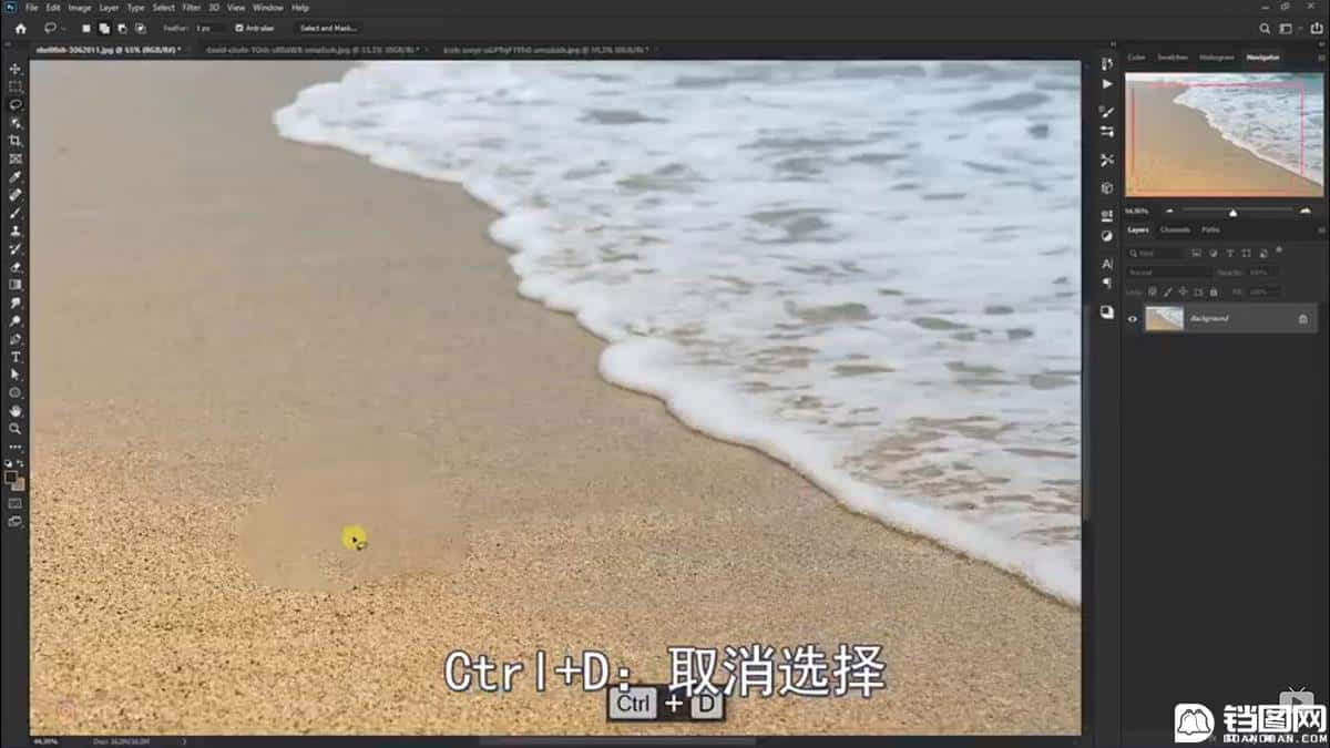 Photoshop合成海边海龟和被掀起的海浪场景